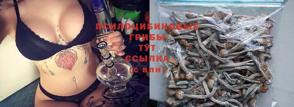 каннабис Алексин