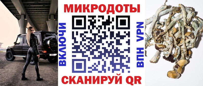где продают   Циолковский  Галлюциногенные грибы Psilocybine cubensis 